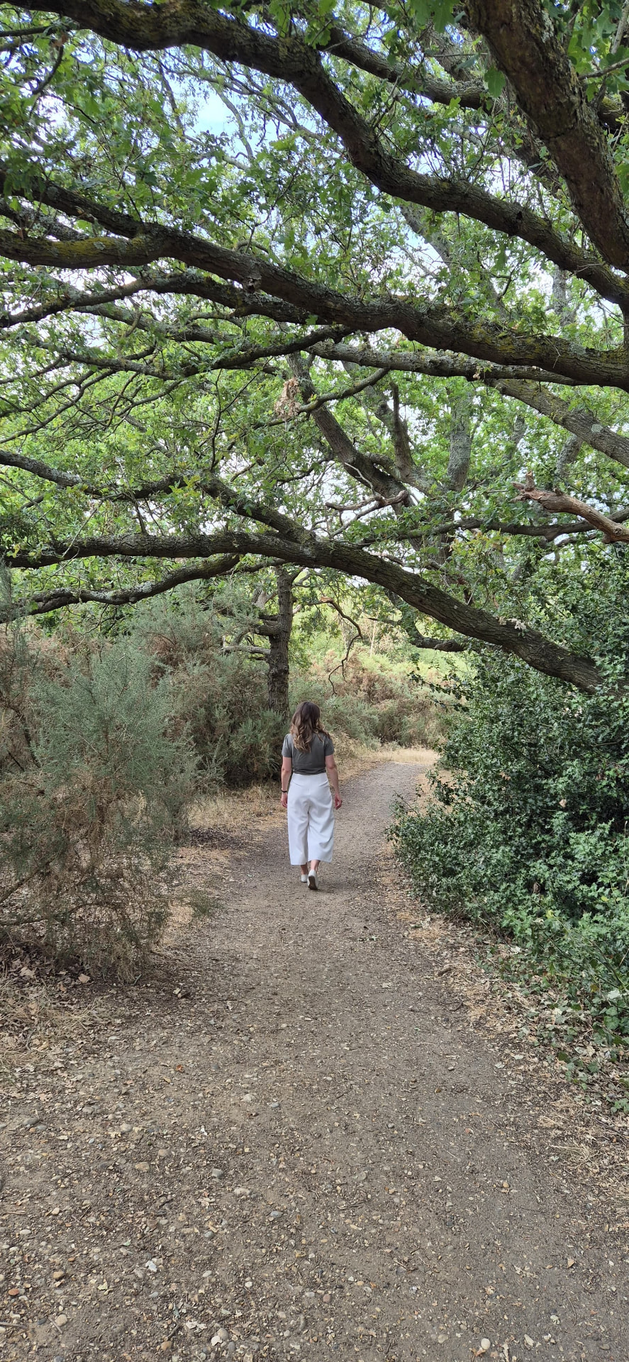 Walking along a shaded path beneath oak trees during an outdoor therapy session
